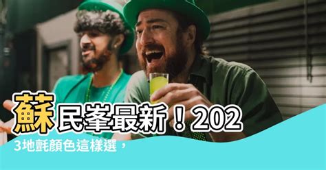 2023 地毯顏色